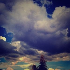 Cardigan Bundle (reserved)