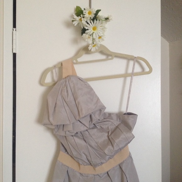One Puff Sleeve Dress