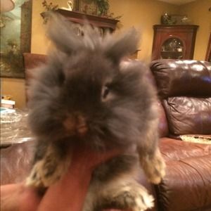 We are Pet friendly!! Welcome to our jungle