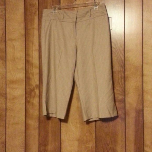Dress pant