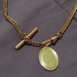 Gold Tone 18 inch Necklace