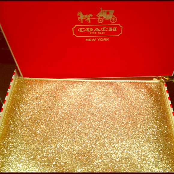 TRADE BUNDLE .blue mk purse gold coach and dress