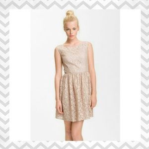 Pink Lace Dress NWT