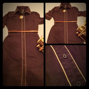 Express Sz 4 Brown button up Professional dress