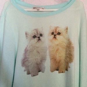 Wildfox sweater