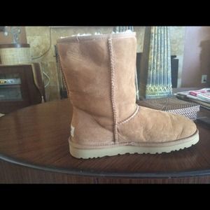 brown uggs