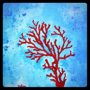 Bra bundle for baileychase