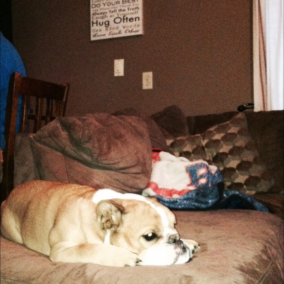 CAPONE ❤️ - Picture 4 of 4