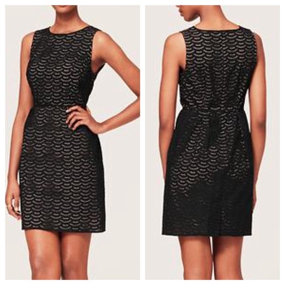 NWT LOFT Petite Black and Nude eyelet dress