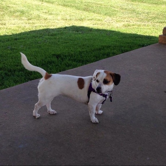 Meet Michelle ❤️ - Picture 2 of 2