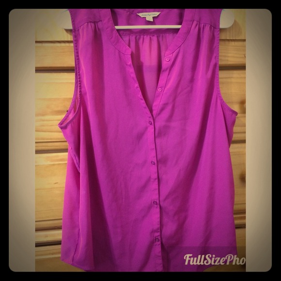 Sheer American Eagle Blouse
