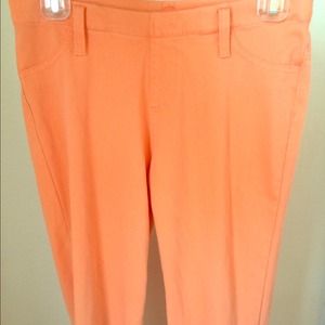 High Waisted Riding Pants.