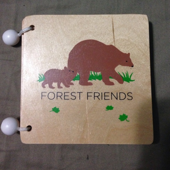 Wooden toddler book