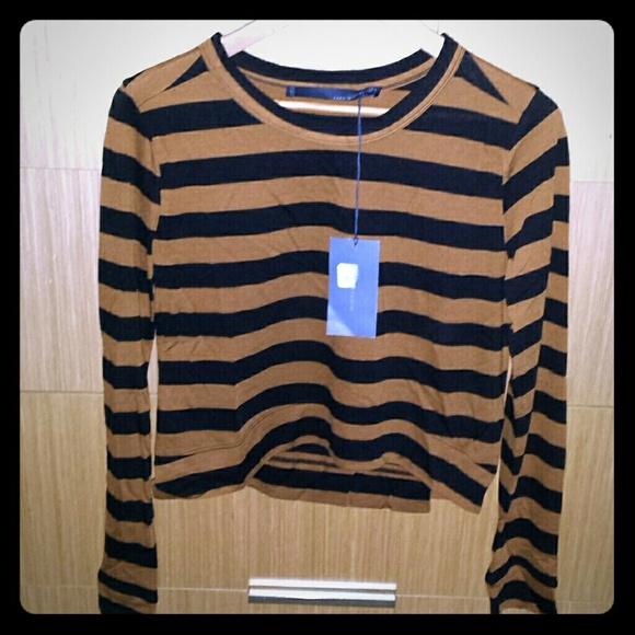 Zara Tops - Zara Studio Cropped L/S