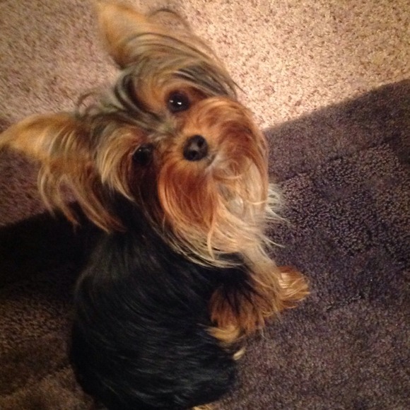 Coco,s not for sale, some great stuff  is 4 sale!