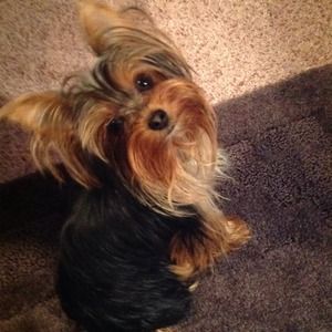 Coco,s not for sale, some great stuff  is 4 sale!