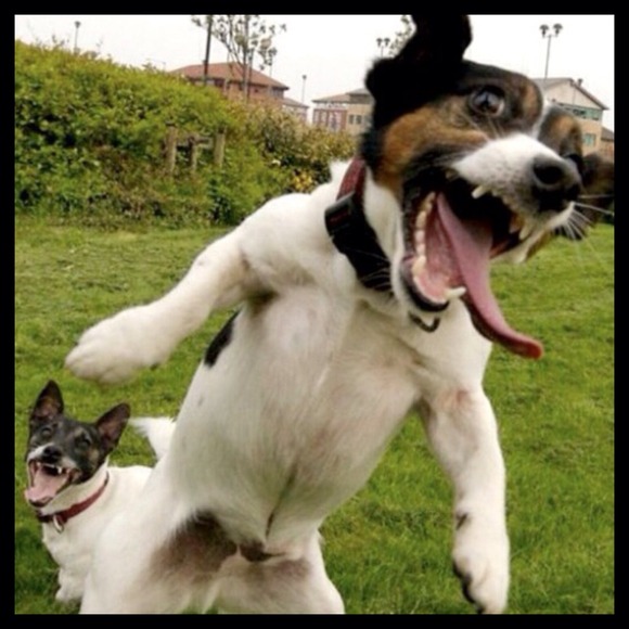 🌟 SUGGESTED USER 🌟 - Picture 2 of 2