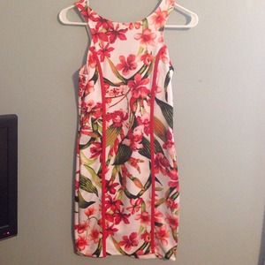 Gorgeous floral shift dress