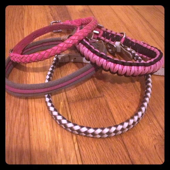 Dog collar bundle