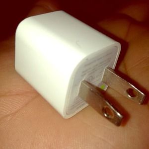 Apple plug in