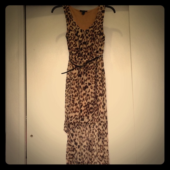 Hi-low leopard dress - Picture 1 of 3