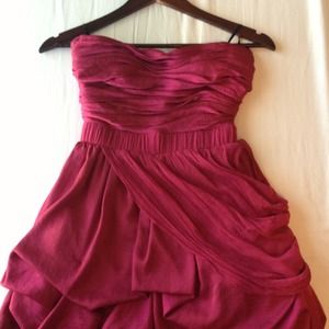 Silk Trim Bebe Bouffant Party Dress.