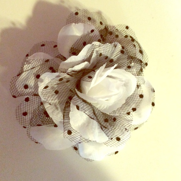 Black & white pinup style rose