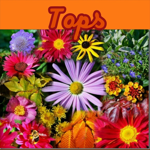 Tops - Picture 1 of 1