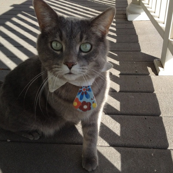 Meet your seller - Picture 2 of 4