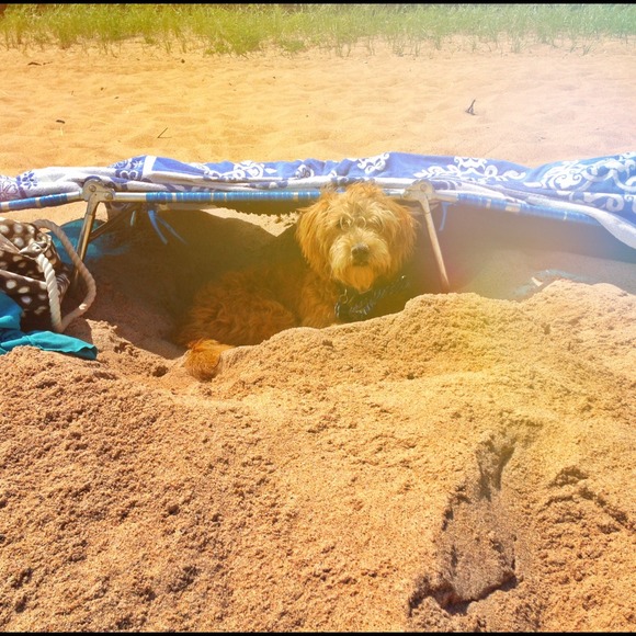 Meet your seller - Picture 4 of 4