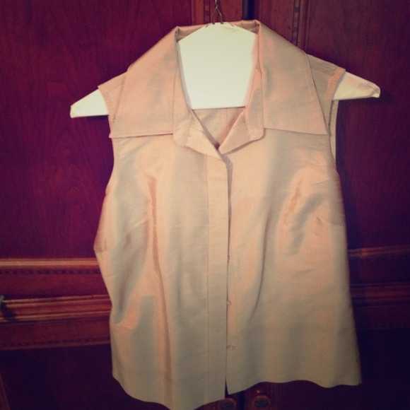 Dark beige raw silk top. Excellent condition.