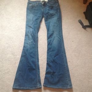 Never been worn Hollister flare jeans