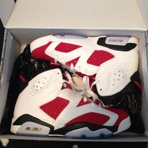Air jordan carmine 6