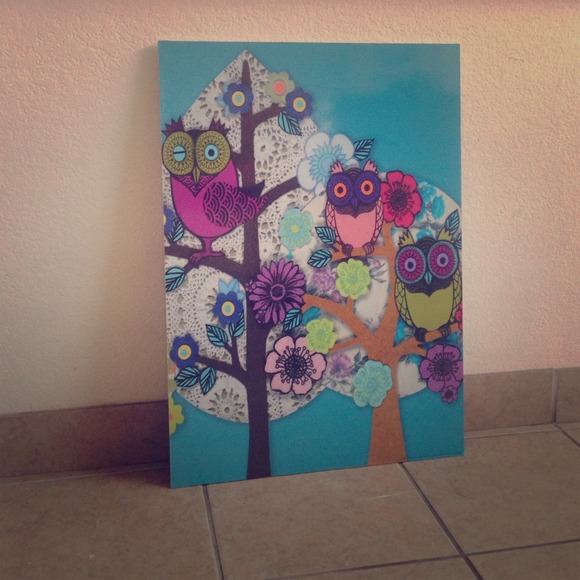 Owl picture