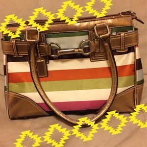 Striped Purse
