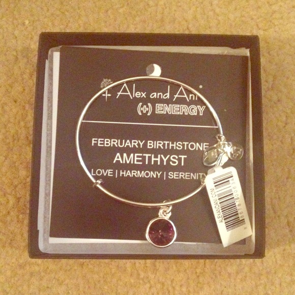 Alex and Ani Amethyst Bangle