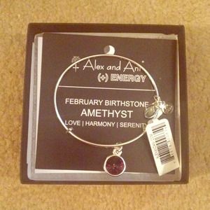Alex and Ani Amethyst Bangle