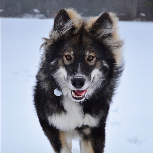 ☀️Meet Your Seller! 😄 - Picture 3 of 4