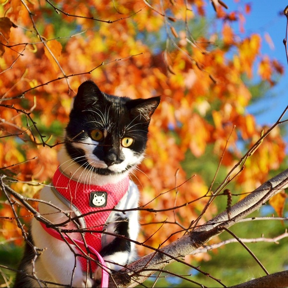 ☀️Meet Your Seller! 😄 - Picture 4 of 4