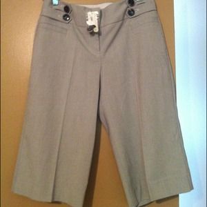 The Limited long shorts