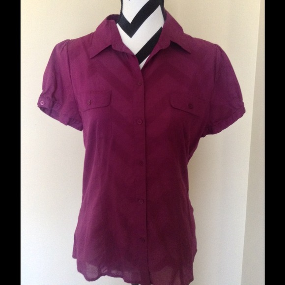 The Limited Plum Sheer Blouse