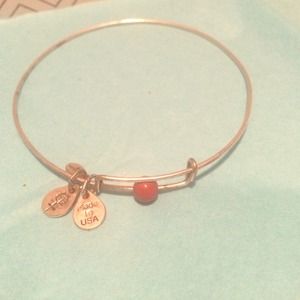 Alex & Ani Russian silver bangle with brown bead