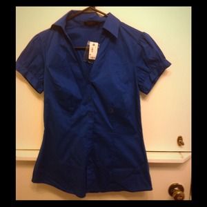 NWT Dress Top from the Limited