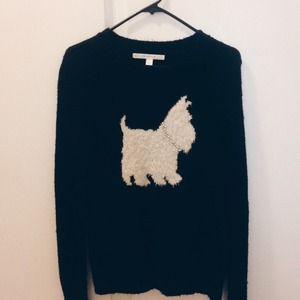 LC x Lauren Conrad Dog Sweater