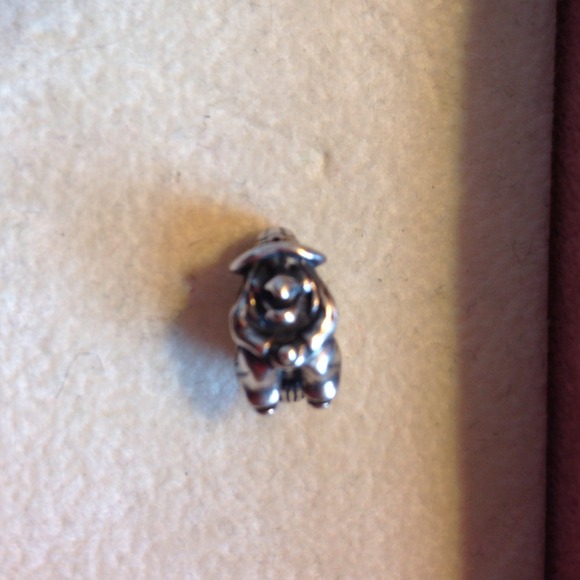 Pandora charm