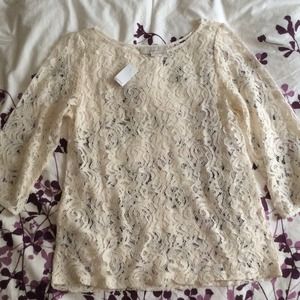 NWT Loft 3/4 Sleeve Lace Shirt