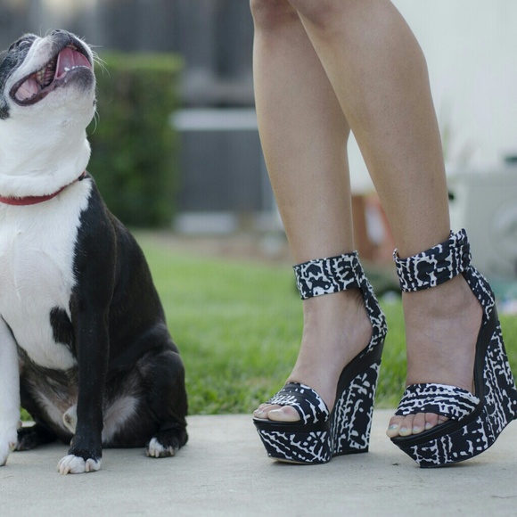 Bundle for sgoodroe92