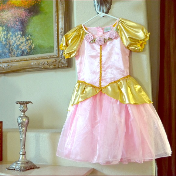 Dresses & Skirts - Size 4/5 T princess dress costume