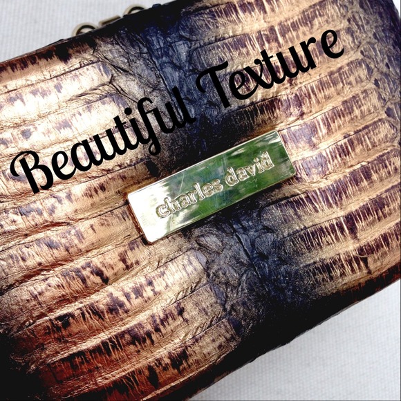 Charles David Bronze Evening bag - Picture 3 of 4