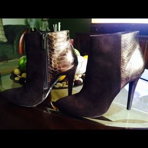 Brown with gold booties